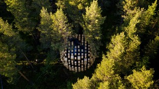 Tree hotel