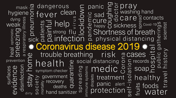 Dr. Veszelszki Ágnes: „Idővel eltűnnek a vírusszótár elemei” /Illusztráció: pixabay