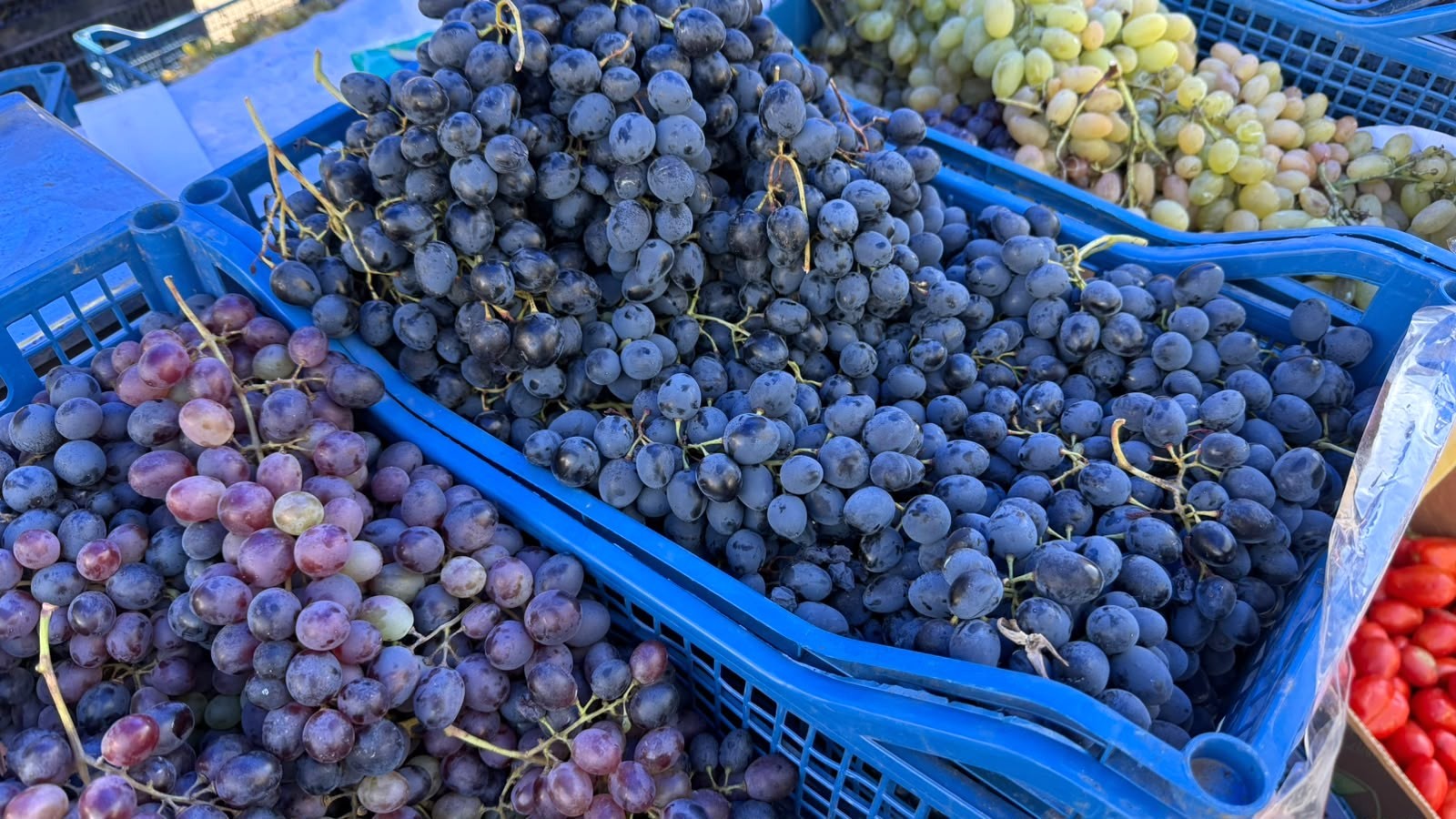 Cât costă mustul în piețele din București. Sucul dulce și proaspăt se vinde la pahar sau la sticlă