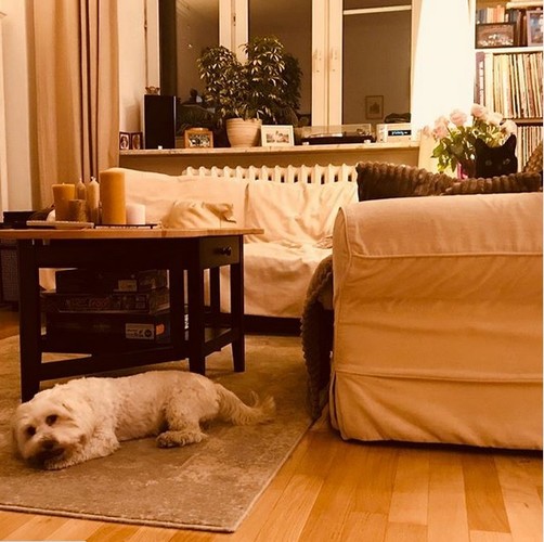 Tak mieszkają Monika i Zbigniew Zamachowscy