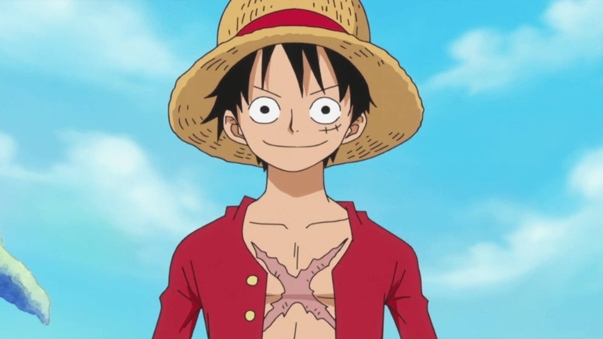 One Piece Ruffy Neue Kräfte