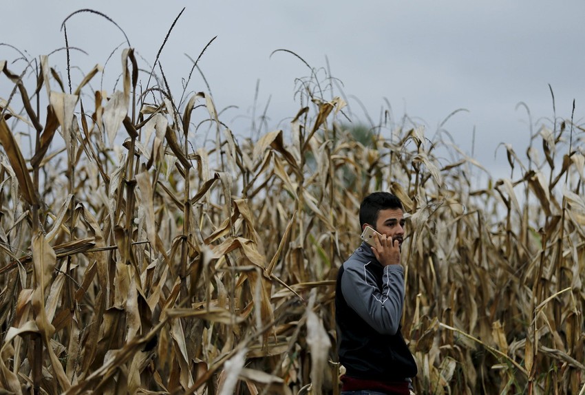Kukuruzište kod Strošinaca