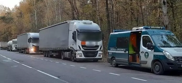 "Ekspresowy" transport fasoli. Liczba wykroczeń zaskoczyła inspektorów