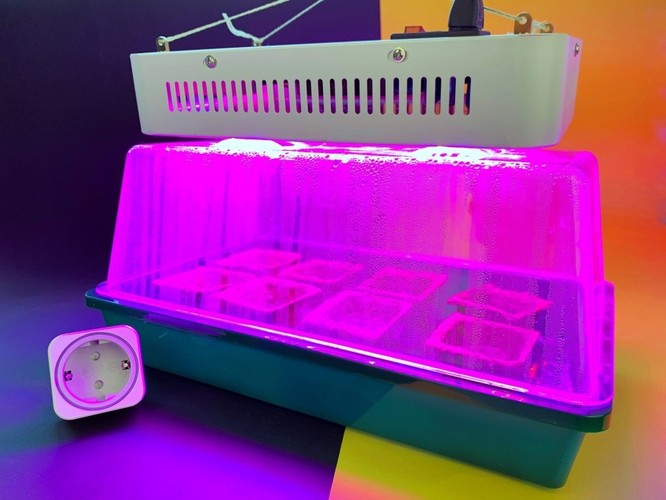 Ratgeber Indoor-Gärten: Kräuter, Gemüse & Anzucht für innen | TechStage