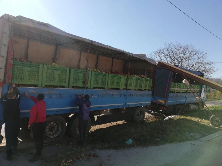 Gazdinstvo Ignjatović