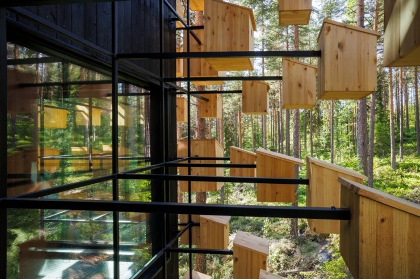 Tree hotel