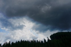 Deszcze i burze. PROGNOZA POGODY na koniec tygodnia