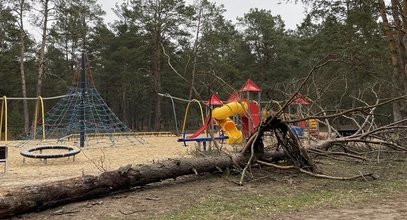 Dramat na placu zabaw w Toruniu! Konar drzewa spadł na bawiące się dzieci