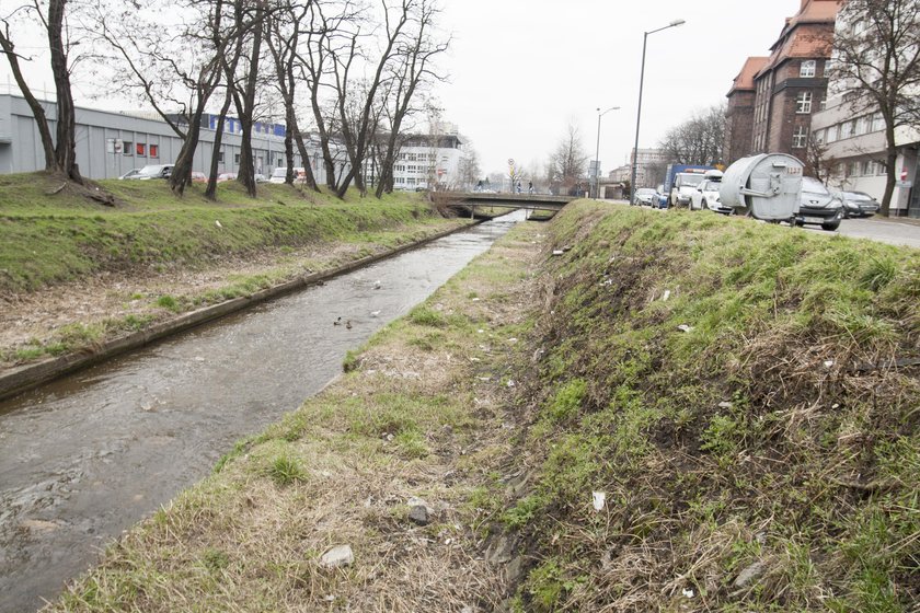 Katowice. Oczyszczanie Rawy