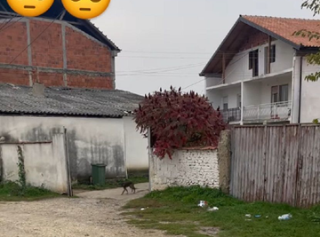 Kuća na Kosovu Jane Todorović