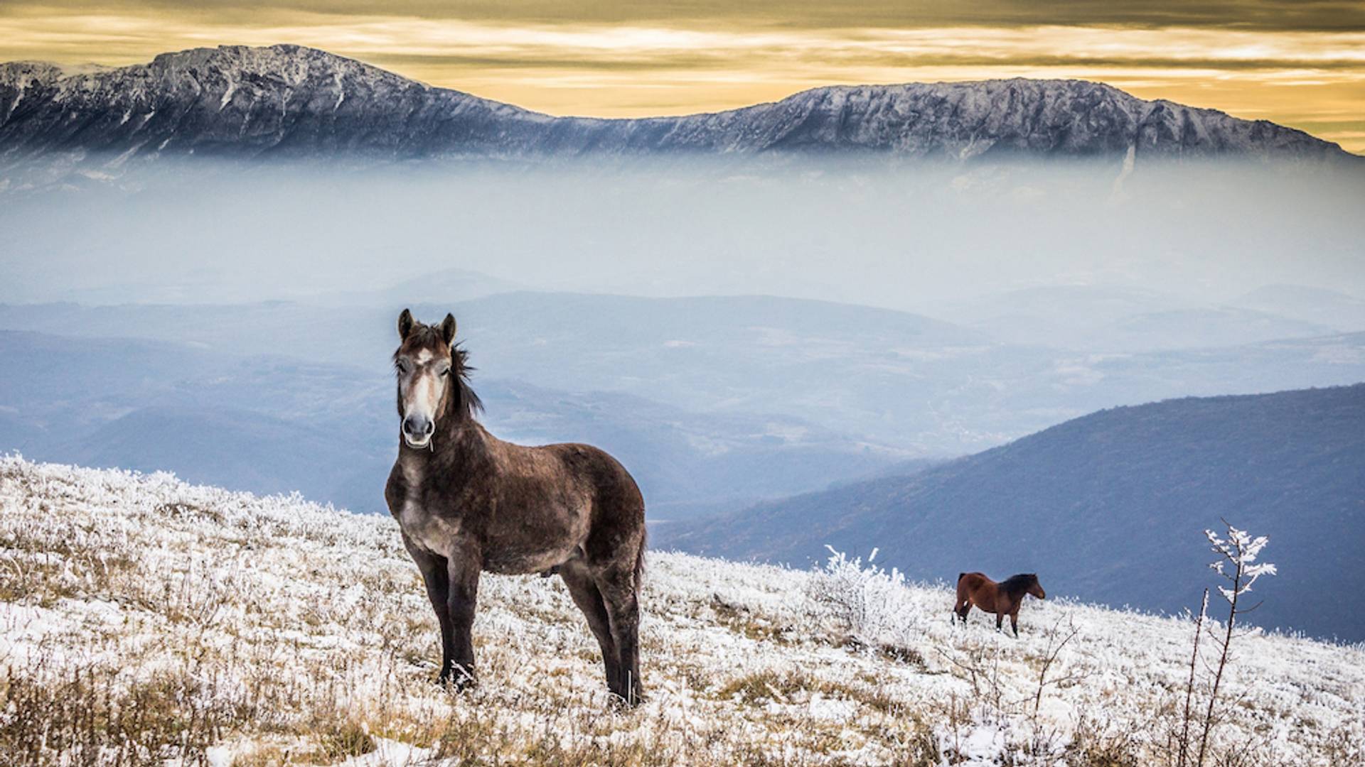 Najlepše slike Srbije od kojih srce jače kuca