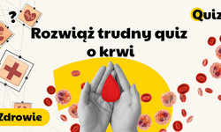 Osoby z tą grupą krwi są nazywane &quot;uniwersalnym dawcą&quot;. Rozwiąż trudny quiz o krwi!