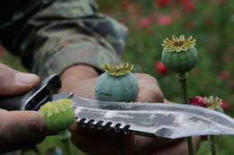 Mexican heroin is flooding the US, and the Sinaloa cartel is steering the flow