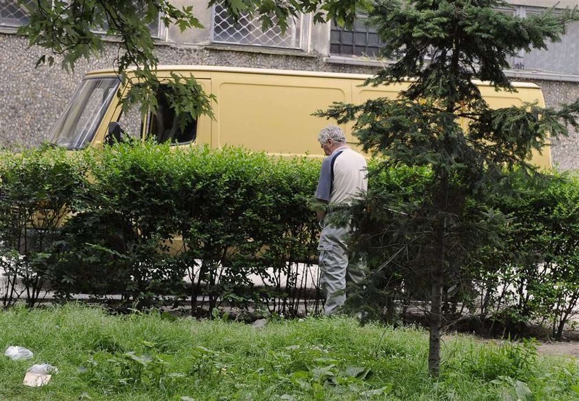 Menele rządzą na wrocławskich podwórkach!