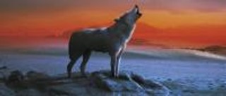 Cormac McCarthy 'Przeprawa' - recenzja