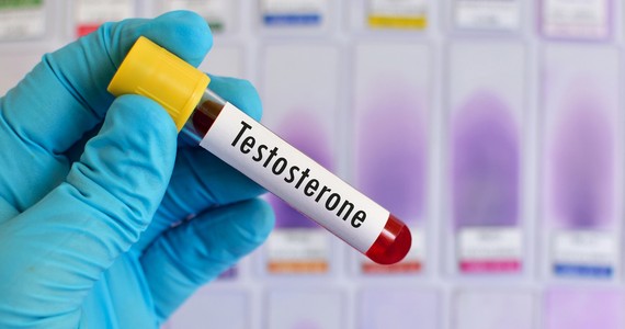 Testosteron Aggressivität Testosteron Aggressivität