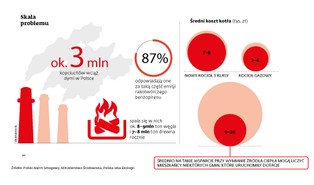 Lokalne władze nie odrobiły lekcji z niskiej emisji