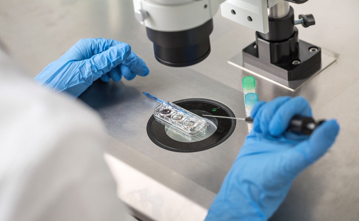 Leczenie niepłodności metodą in vitro