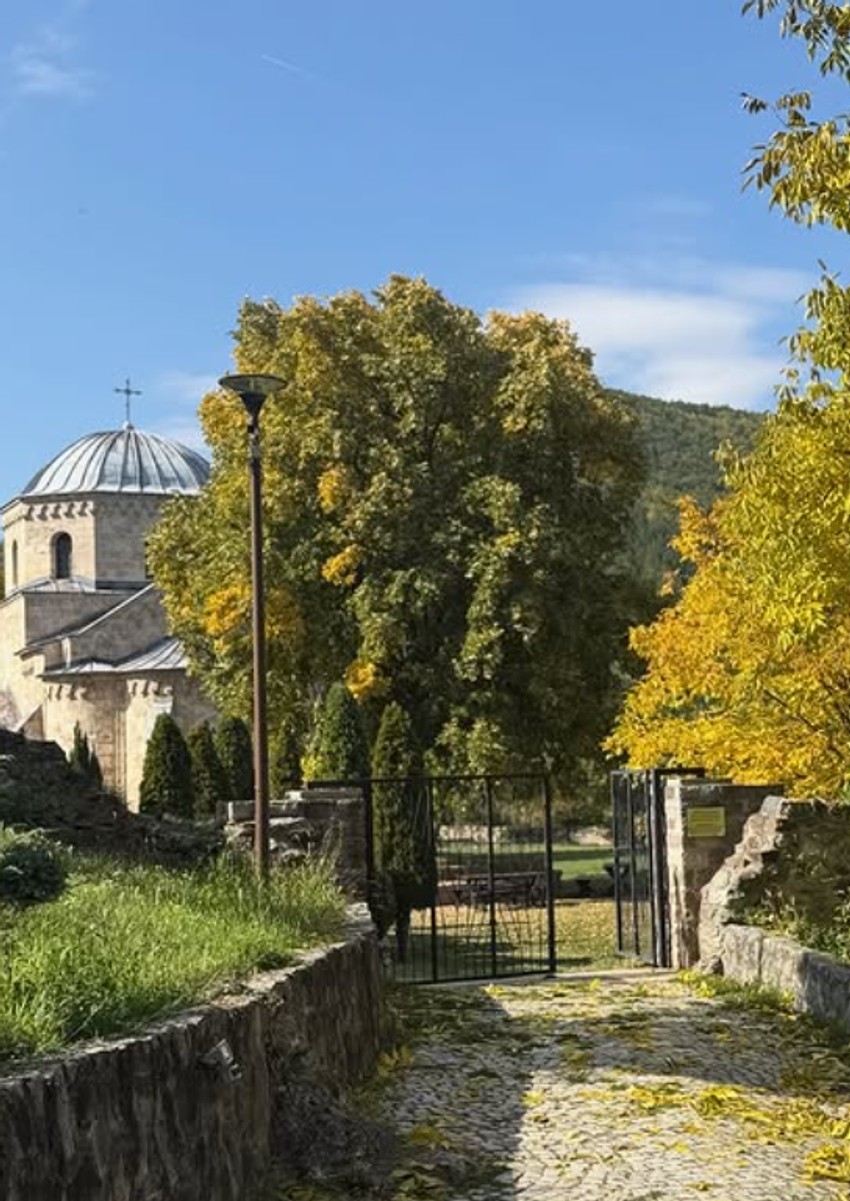 Dragana Mićalović, objava