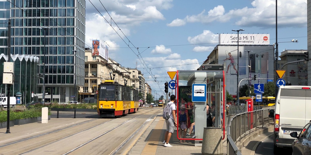 Na wysepkach oraz przy przystankach tramwajowych pojawią się nowe drzewa: platany, dęby i lipy. W sumie posadzonych zostanie ponad 20 tys. roślin. 