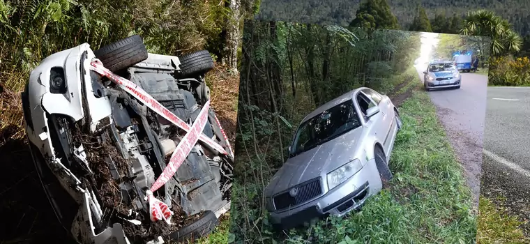 Skoda w rowie, mężczyzna w aucie. Wszystko zwęszył Polon