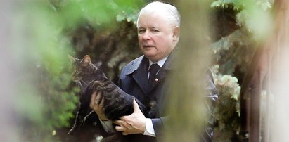 Jarosław Kaczyński ma problemy w domu. Chodzi o jego pupilkę!