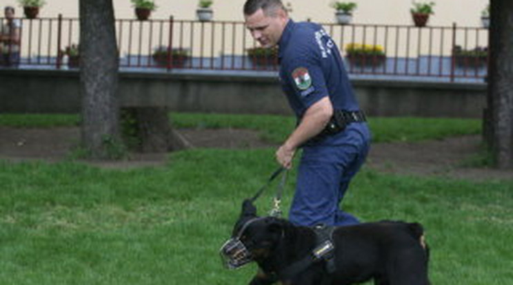 Hóhér mentette meg a zsarut a lincseléstől