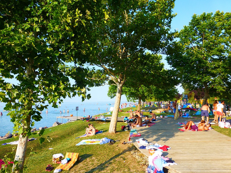 Trawiasta plaża nad Balatonem