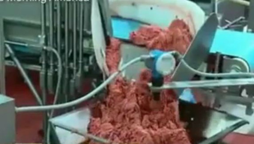 Mekdonalds garantuje da su burgeri od 100% junećeg mesa