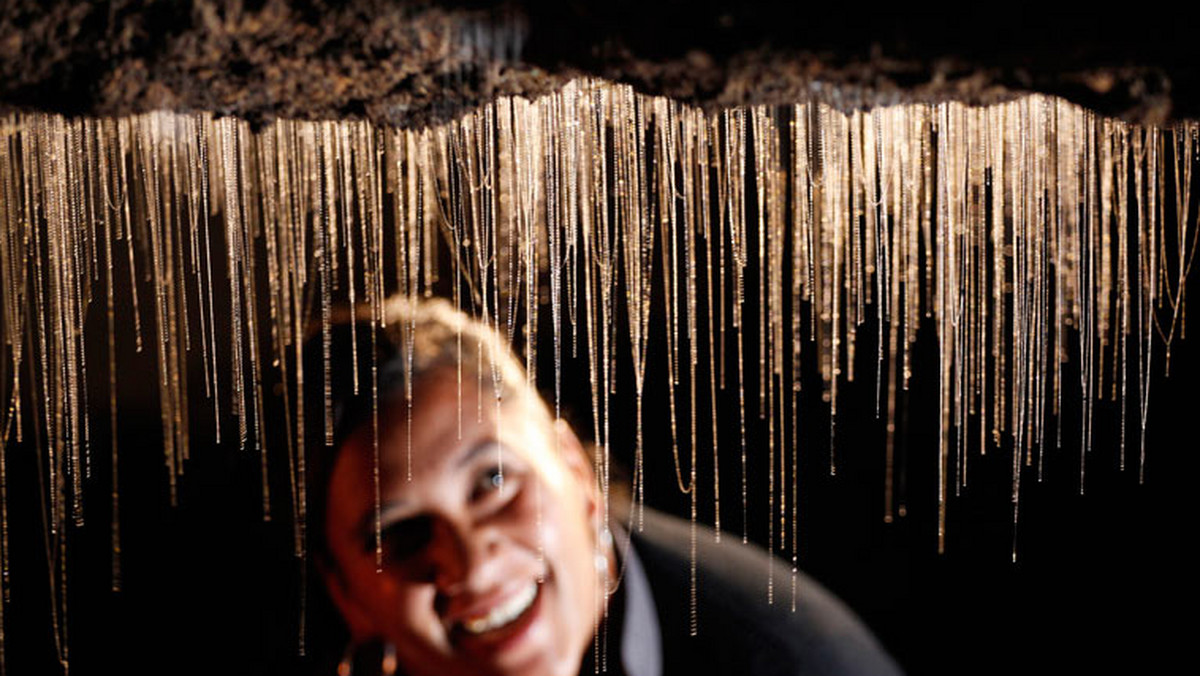 Waitomo Glowworm Caves - jaskinie świecących robaczków