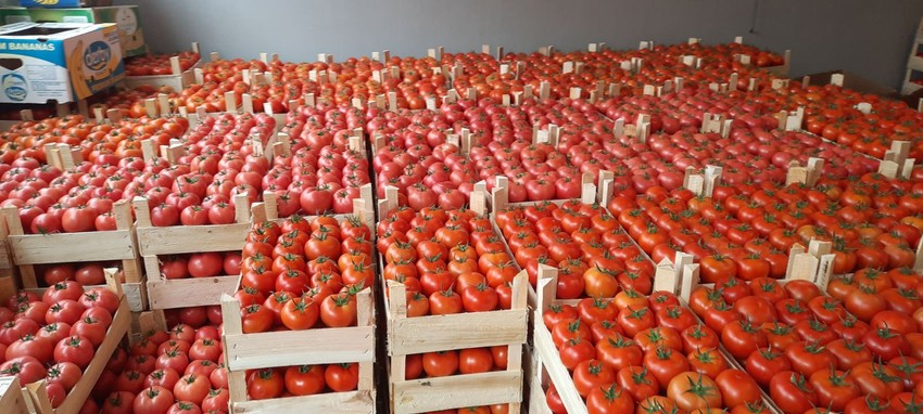 Gazdinstvo Petković