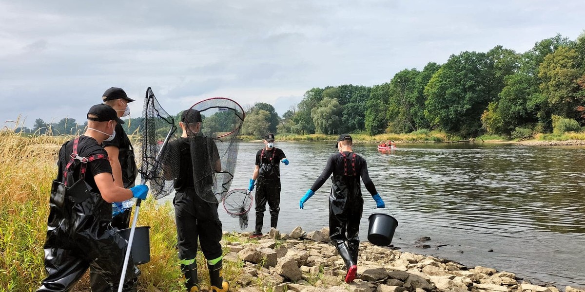 Katastrofa ekologiczna na Odrze. Hydrolog: "stan większości rzek jest zły"