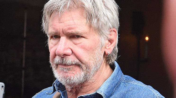 Harrison Ford mégsem nőverő /Fotó: Northfoto