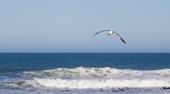 'The Times': Atlantyk skrywa ponad 10 razy więcej plastiku niż szacowano