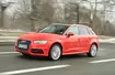 Audi A3 e-tron - To auto nie lubi zimna