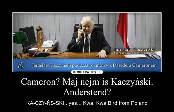 Jaroslaw Kaczyński rozmawiał z Davidem Cameronem