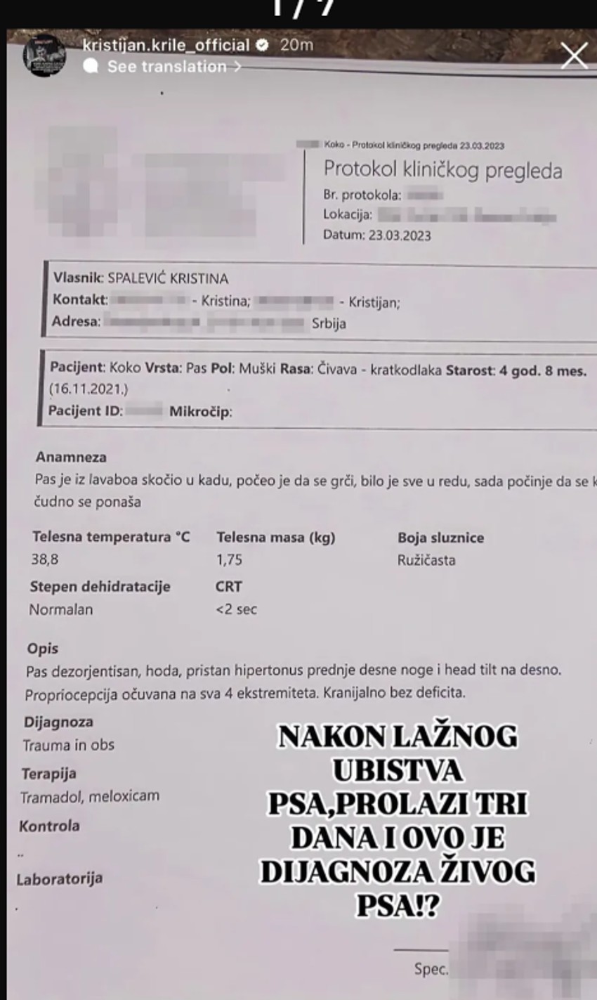 Objavljen izveštaj veterinara: Evo koje je povrede Kristijan Golubović naneo psu