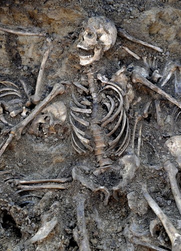 Pierwsze szczątki znalezione w zbiorowych mogiłach w rejonie dawnego obozu jenieckiego z okresu II wojny światowej na obrzeżach Przemyśla