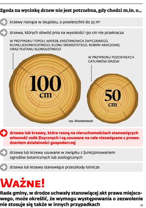 Zgoda na wycinkę drzew nie jest potrzebne, gdy chodzi m.in. o: