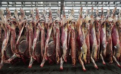 Czechy utrzymają nadzwyczajne kontrole polskiej wołowiny