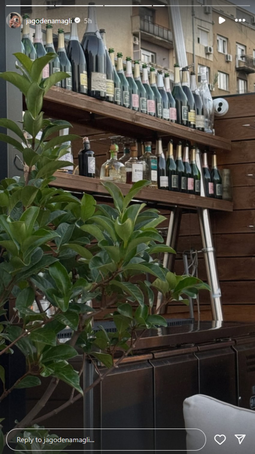 Jelisaveta Orašanin, objava