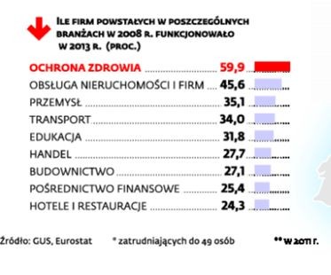 Ile firm powstałych w poszczególnych branżach w 2008 r. funkcjonowało w 2013 r. (proc.)