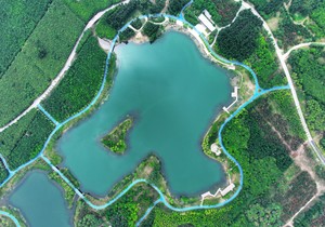 Pošumljena oblast u Kini