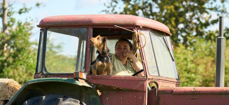 Nowy polski serial przyjrzy się rolniczkom. "Inspirująca podróż po wsiach"
