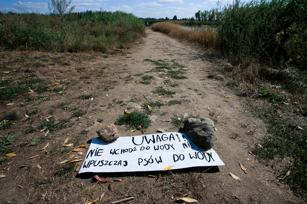 Cigacice (woj. lubuskie), 11.08.2022. Okolice wsi Cigacice gdzie, 11 bm. odbyła się konferencja prasowa dot. zanieczyszczenia Odry.