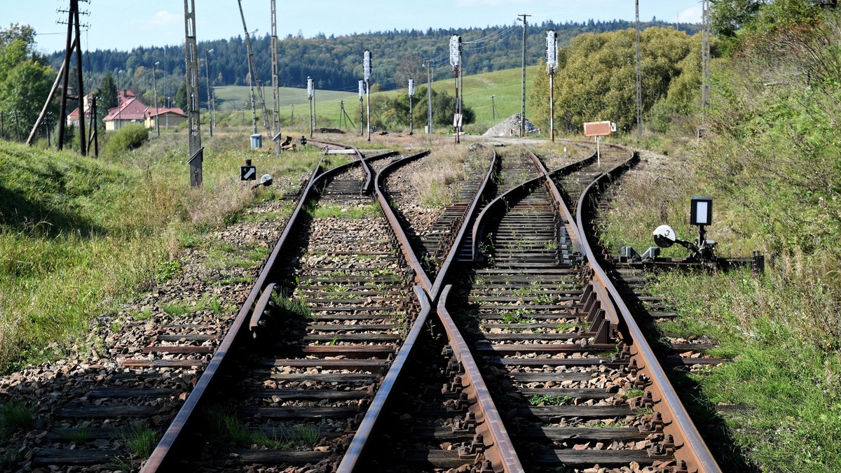 Rodzina była w trasie Kraków-Gdynia, gdy dzieci zostały zaatakowane przez pluskwy w pociągu