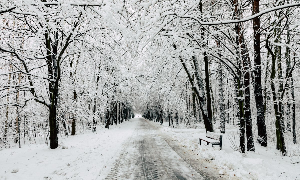 Czy Boże Narodzenie będzie białe? Meteorolodzy mają najnowsze dane