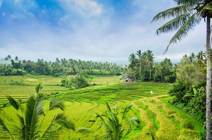 Bali, Sri Lanka i Komodo. Egzotyczny urlop na wyciągniecie ręki