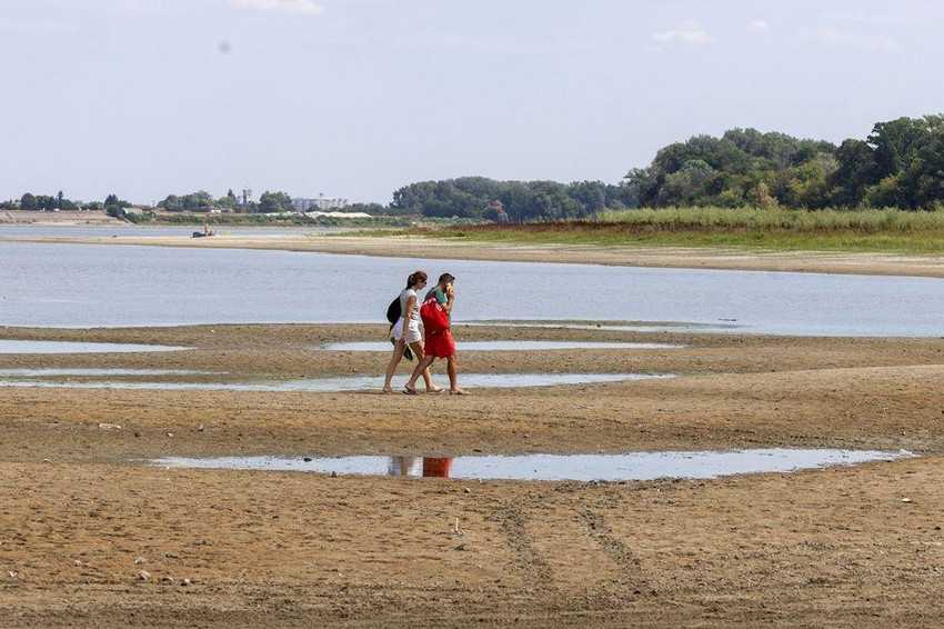 I u Apatinu Dunav na nekim mestima može da se prepešači | Foto: REUTERS/Djordje Kojadinovic