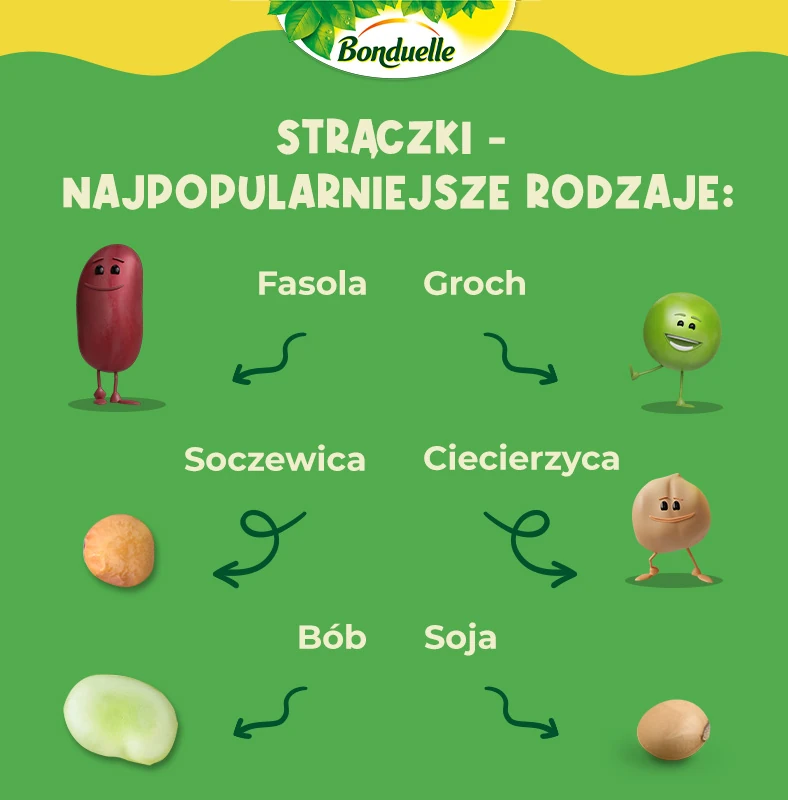 Strączki - najpopularniejsze rodzaje - infografika